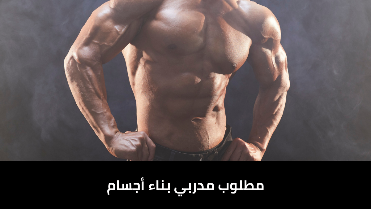 مطلوب مدربي بناء أجسام